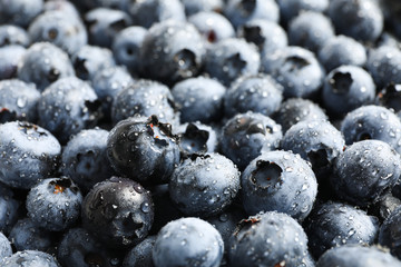 Sweet blueberry with drops as background, close up