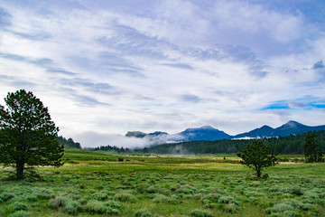 Green Meadow and Misty Mountains