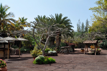 Oasis Park, Fuerteventura, Canary Islands