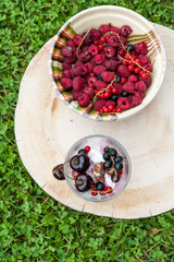Vanilla and strawberry ice cream with fresh fruits