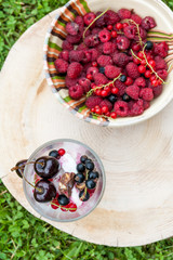 Vanilla and strawberry ice cream with fresh fruits