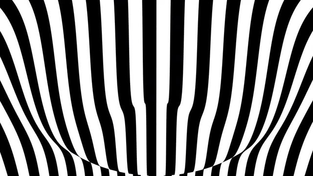 Vertical black and white stripes on a waving surface. Seamless loop abstract 3D animation.