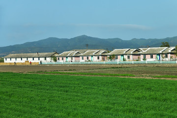 North Korea. Countryside