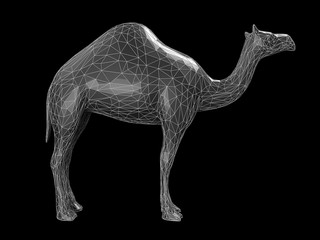 triangle of camel shape. polygonal 3d illustration. Isolated on black