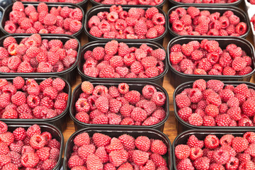 Boxes with bright fresh raspberry in the market