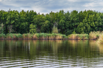 Fototapeta na wymiar reservoir in the city park recreation park 