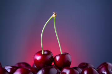 a pair of sweet cherries on a red-blue gradient background