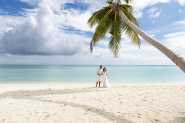 Newlyweds hug under a palm tree on a gorgeous beach with white sand and turquoise water.