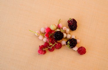 frozen fruit berries on warm background