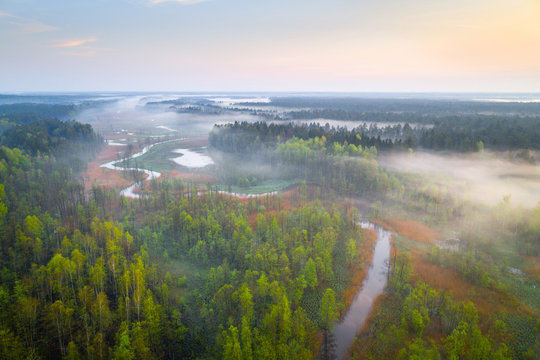 Forest river