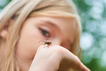 Child girl examining a beetle on her hand