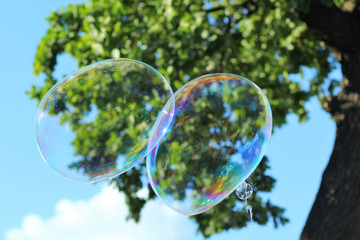Closeup of two joined giant soap bubbles in the summer park