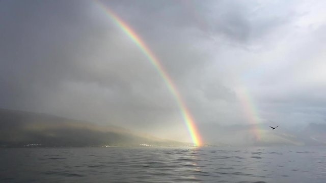 Double rainbow beautiful fog weather with seaguls flying by on fjord in Northern Norway