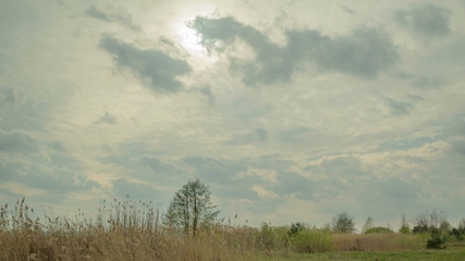 Fototapeta premium Clouds move very fast, light rays make their way through the clouds, grass and trees wind blows High quality 10bit time lapse. Very easy color correction