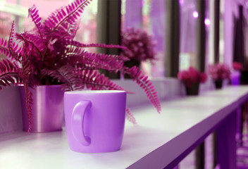 Coffee cup on cafe's long table with potted ferns in purple and magenta color