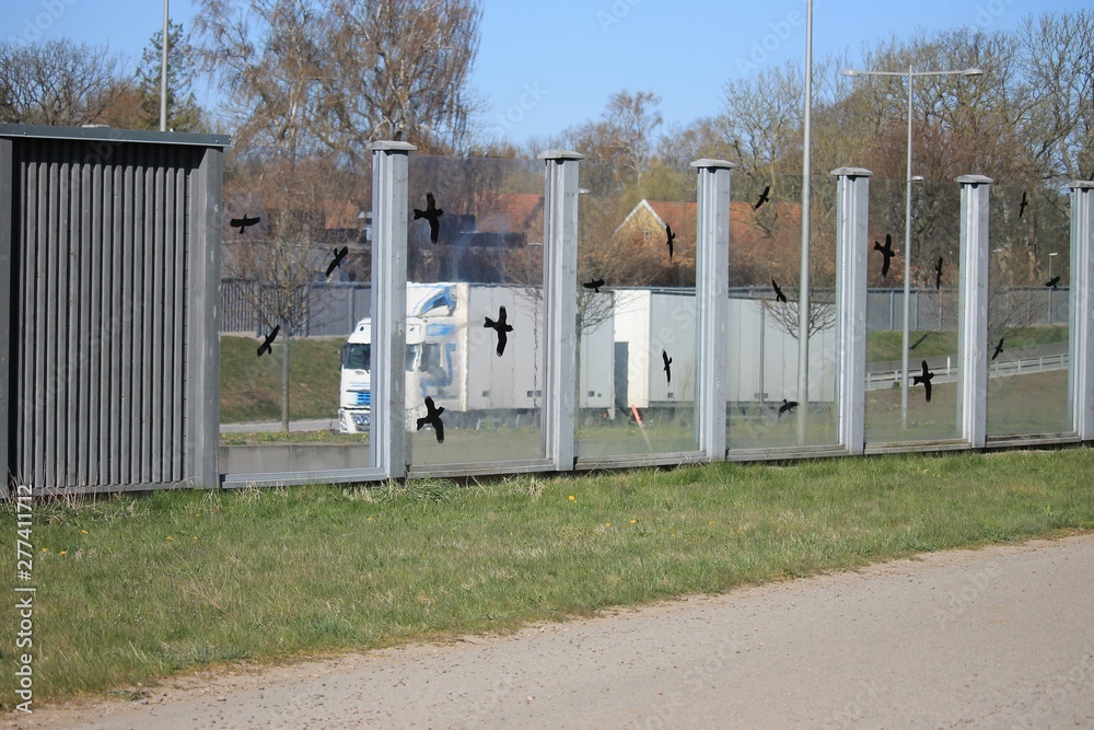 Wall mural Bird silhouette stickers on a glass wall for preventing birds from hitting the noise protection at the side of a motorway.