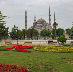 The Blue Mosque in Instanbul, Turkey