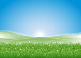 Plakat morning fog and rising sun. green hilly meadows. blue sky. dew glitters on the grass