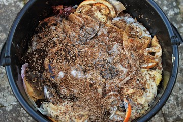 A bucket filled with bokashi. This photo is taken just before digging the bokashi down in the soil. Bokashi is a type of fermented wastemanagement of organic foodwaste.