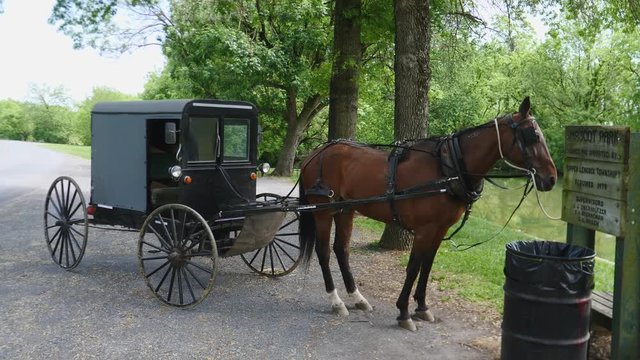 Amish Horse and Buggy Tied Up Waiting
