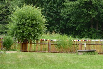 wooden fence with nice mugs