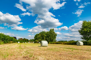 wrapped round hay bales