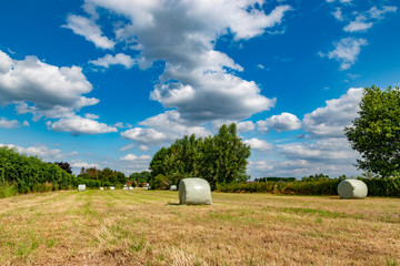 wrapped round hay bales