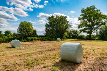 wrapped round hay bales