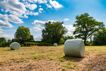 wrapped round hay bales