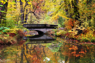 alte Steinbrücke über einen Bach im englischen Garten