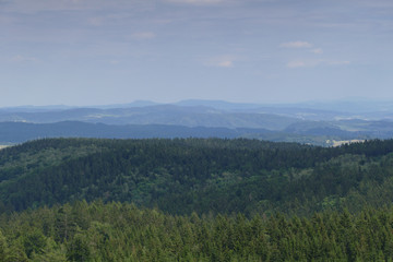 czech spruce forests mountain view