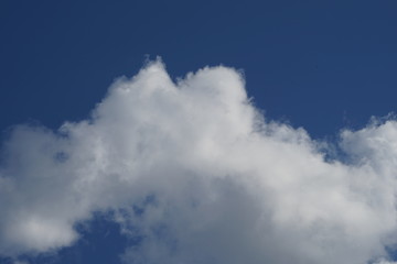 Obraz premium Large High Detail White Puffy Clouds