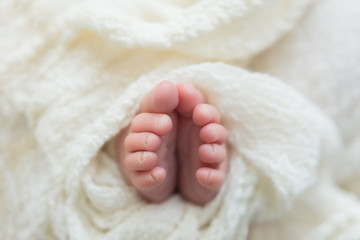 baby feet on background. feet of a newborn baby. little foot