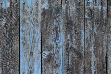 Tło z czarno-niebieskich desek © Monika