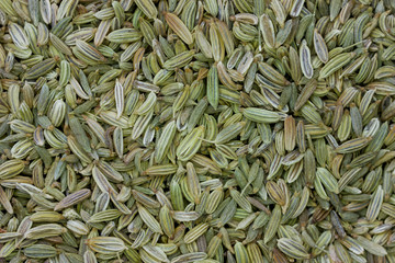 close up of fennel seeds