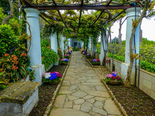 italian garden 