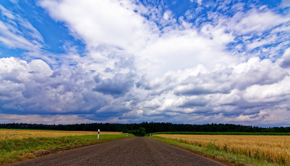 beautiful sky with clouds over the field near the forest