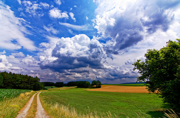 beautiful sky with clouds over the field near the forest