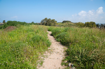 Fototapeta premium Emek Hefer nature near Beit Harishonim