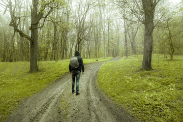 Obraz premium man traveler in forest road background