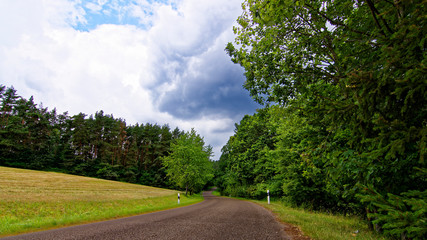 Fototapeta premium beautiful sky with clouds over the field near the forest
