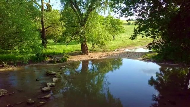 Small calm lake under trees