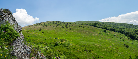 A top of the Ruy Mountain