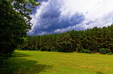 beautiful sky with clouds over the field near the forest