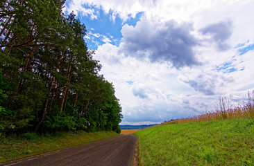 Fototapeta premium beautiful sky with clouds over the field near the forest