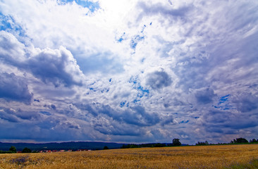 Fototapeta premium beautiful sky with clouds over the field near the forest