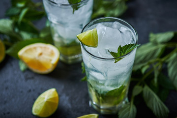 Mojito refreshing summer cocktail. Ingredients: ice, soda, rum, sugar syrup, lime, mint.