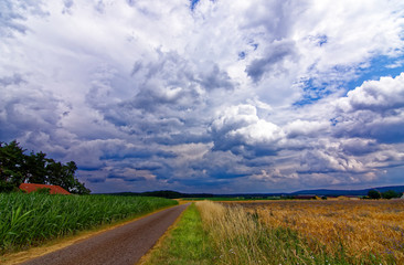 beautiful sky with clouds over the field near the forest