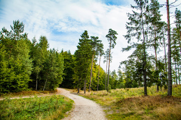 Rezerwat Przyrody Wieżyca kaszubski park krajobrazowy kaszuby widok las ostrzycki jezioro ostrzyckie  dolina pagórki © Dariusz