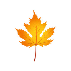 Fototapeta premium Maple Leaf Icon. Vector Illustration. Flat Style. Autumn Design Collection